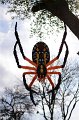 Kids_DFWzoo_3-2016 (52)